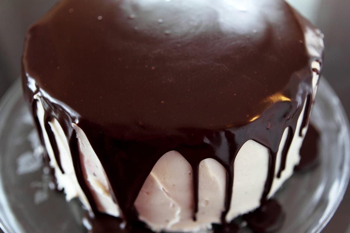 Chocolate Fudge Vanilla cakes