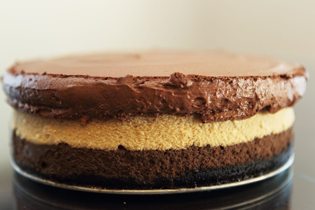 Kahlua Chocolate Coffee cheesecakes