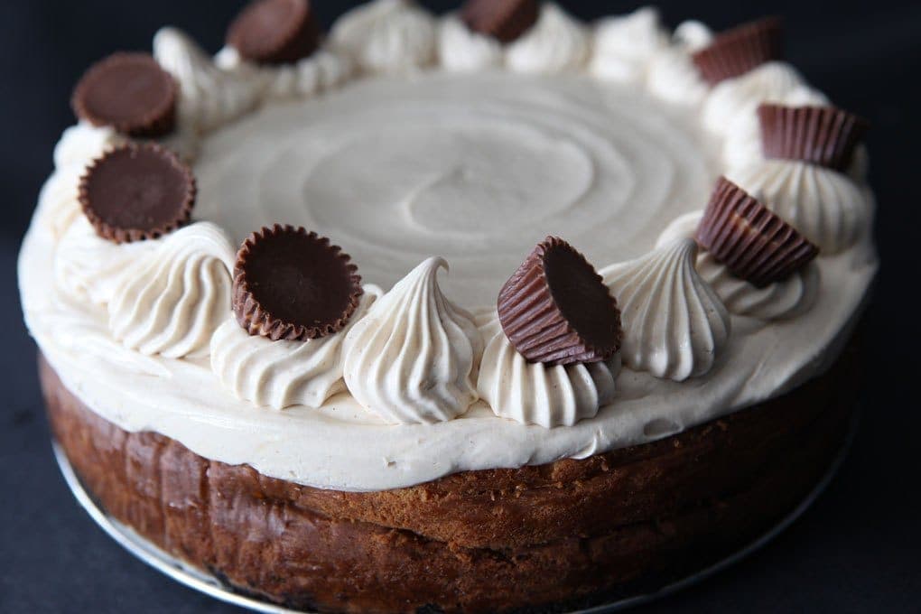 Peanut Butter Mouse Truffle cheesecakes